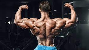 Navigating the World of Steroid Purchases in Europe Essential Tips for Buyers
